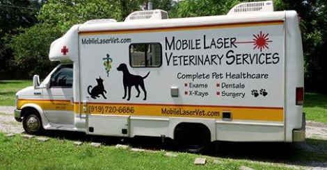 surgical co2 laser in the small animal mobile practice