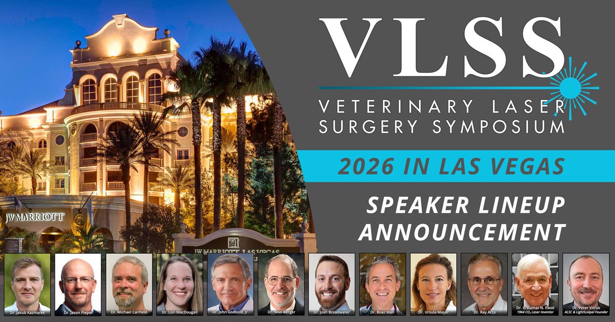VLSS 2026 Speaker Announcement