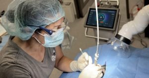 VetScalpel PRO+ Surgical CO2 Laser Procedure