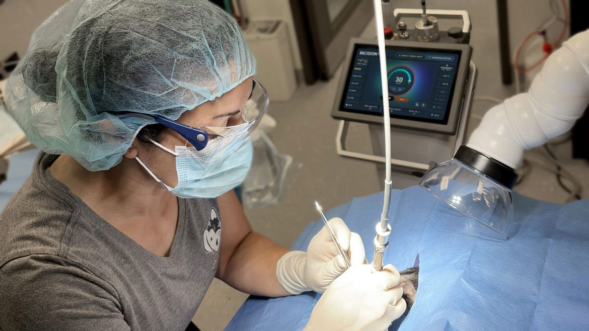 VetScalpel PRO+ Surgical CO2 Laser Procedure