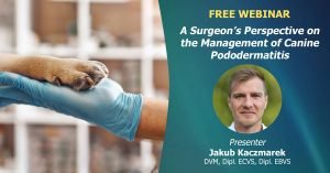 podoermatitis webinar