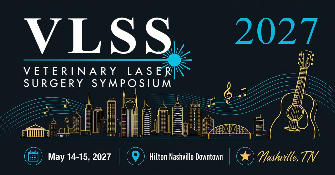 vlss 2027 logo